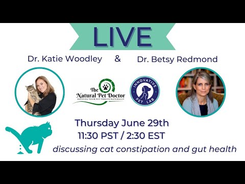 Cat Constipation & Gut Health with Holistic Vet - Dr. Katie Woodley & Innovative Pet Lab