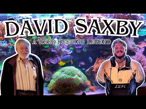 A Reef Aquarium Like No Other | Inside David Saxby’s Legendary Saltwater Aquarium