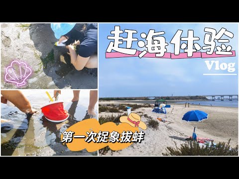 vlog｜海滩捉竹蛏新手体验: 笑点十足的赶海冒险！🐚 被表妹美甲戳中笑点｜沉浸式第一视角体验赶海🏖️｜葡萄牙 Portugal｜小米丘XiaoMiChu