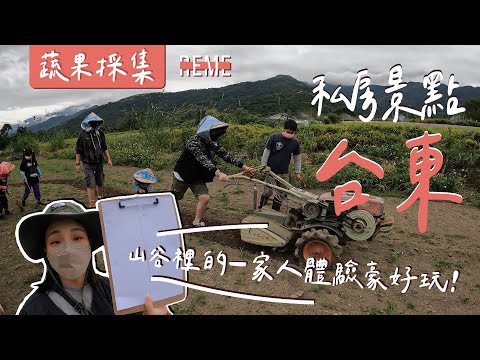 台東深度旅遊｜蔬果採集變身一群採茶姑娘！充滿溫度的員工旅遊！激推啦！feat.山谷裡的一家人Taitung Travel Vlog！【REME 旅覓】