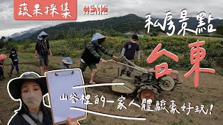 台東深度旅遊｜蔬果採集變身一群採茶姑娘！充滿溫度的員工旅遊！激推啦！feat.山谷裡的一家人Taitung Travel Vlog！【REME 旅覓】