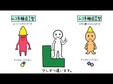 L君のムコ多糖症講座