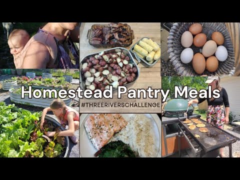 9 Homestead Meals ~ From Scratch Large Family Cooking ~ Pantry Challenge #threeriverschallenge