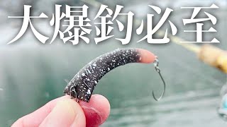 大物から数釣りまで!!この新感覚ルアーが今アツ過ぎる!!【エリアトラウト】【管理釣り場】【えさにょろ】