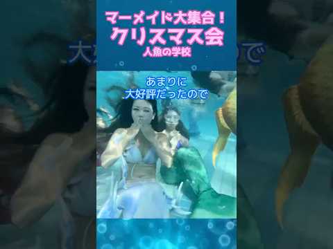 🧜‍♀️マーメイドだらけのクリスマスパーティー/マーメイドスイム #mermaid #マーメイド #人魚