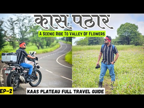 TRIP To KAAS PATHAAR | Unique Valley Of Flowers in Western Ghats of Sahyadri- WanderSane