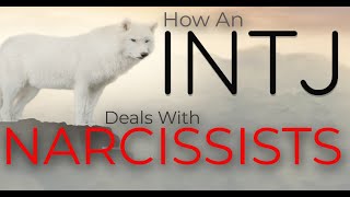 How an INTJ deals with NARCISSISTS?