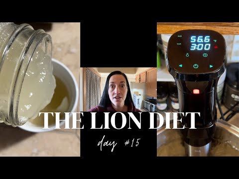 31 Day LION DIET Challenge | Day 15 Vlog & Encouragement