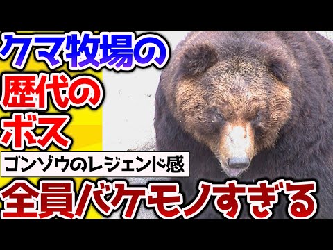 【2ch動物スレ】クマ牧場の歴代のボスたち、全員最強すぎる【なんj】 #生き物 #2ch