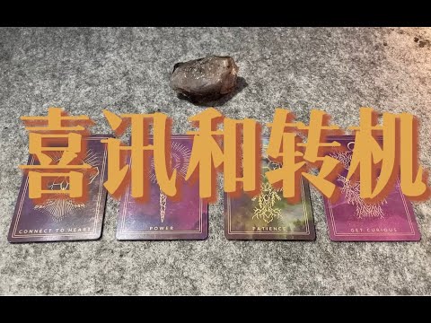 （纯事业向）即将到来的喜讯 & 好的转变～｜小滋润扑克牌 - 片头