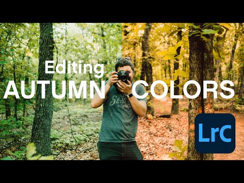 Getting the Best FALL COLORS in Your Photos