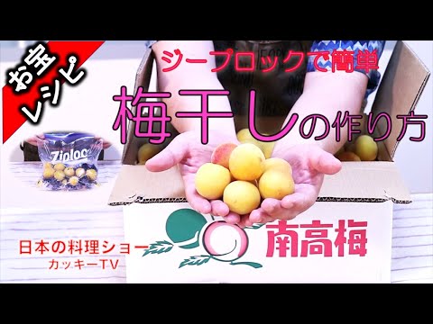 Easy umeboshi with zip lock