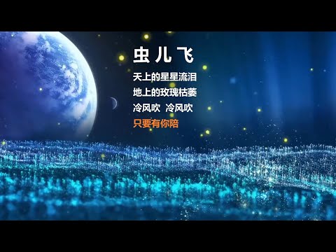 都市夜归人节目垫乐 - 虫儿飞