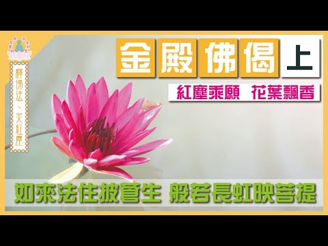 ＃【 象神金殿 】 : 《 佛系真如 弘法利生 》 | 釋佛法  笑紅塵 | 金殿佛偈•上 | 住持現場弘法分享 | 粵語講述 | 中文字幕 | The bodhi path is the .....