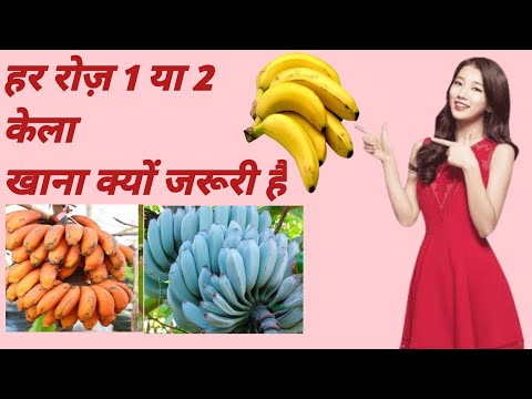 हर रोज़ एक या दो केला खाना क्यों जरूरी है a Why must you eat one or two bananas every day?