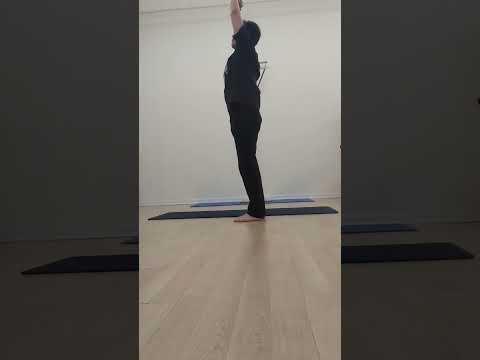 요가야자나무자세연습 Yoga  Tadasana