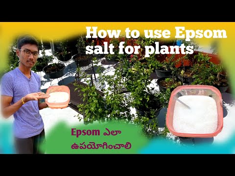 How to use epsom salt