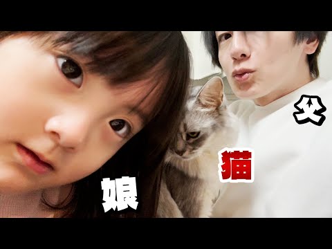 どっちが猫にちゅっちゅできるか対決。数年後にはできそうもない父と娘のやり取り