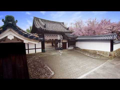 【TVCM】 2018年 春「勧修寺」そうだ 京都、行こう。