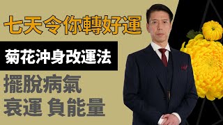 【菊花沖身改運法】七天令你轉好運!助你擺脫病氣,衰運,清除有毒負面能量|改善健康及灰暗臉色,令氣息容光煥發,潔淨氣場吸引人緣財運![聲師傅教室](中字)