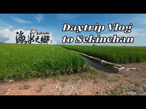 Sekinchan Day Trip Vlog 2022 || Redang Beach || Ah Ma House