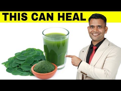 HEALING POWER OF MORINGA POWDER | This Can Heal Your Body Naturally