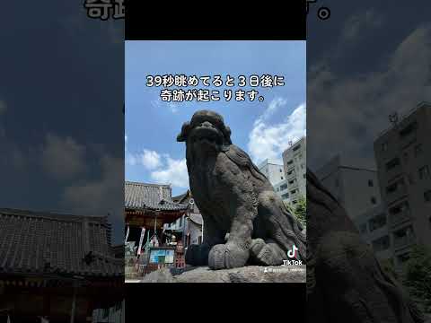 ⛩️39秒眺めてると３日後に奇跡が起こります。