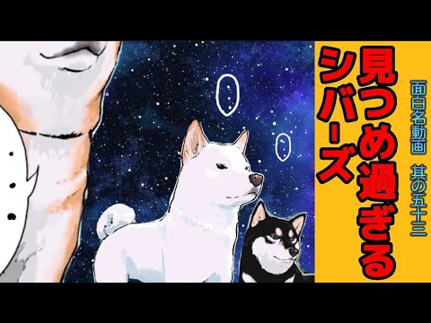 【世界の終わりに柴犬と】切り抜き編集 # 53  /誤解されるものたち・柴犬/ご主人/《じー。》 #世界の終わりに柴犬と  #アニメ #柴犬