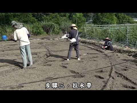 土壤消毒-太陽能氰氮化鈣法