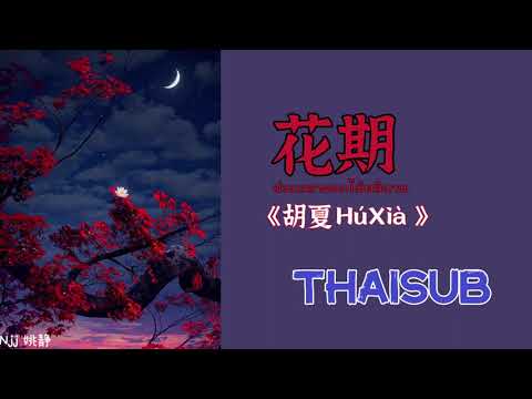 [THAISUB] 花期 ช่วงเวลาดอกไม้ผลิบาน - 胡夏 Hu Xia [THAISUB&PINYIN]