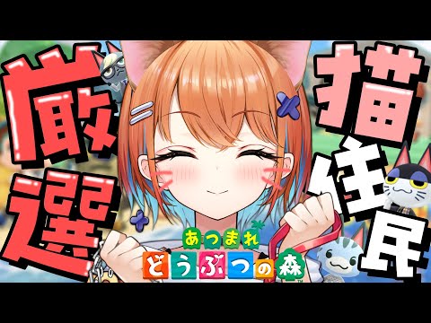 【圧森】猫住民を求めて三千里。今日も島評価３を目指して発展だ～！【天吹サン / #ミクスト/＃あつまれどうぶつの森】