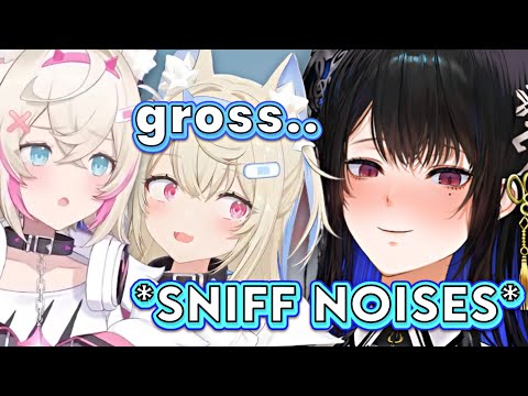 Nerissa suddenly makes SNIFF Noises to Fuwamoco, Fuwawa:     [Hololive EN]