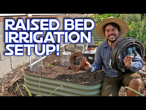 How To Setup Drip Irrigation For Your Raised Beds