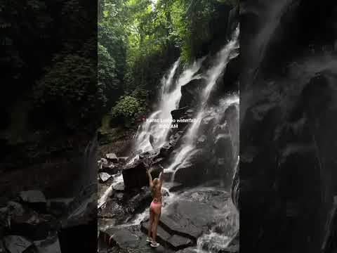 a morning in UBUD, BALI 🌴#waterfall #bali