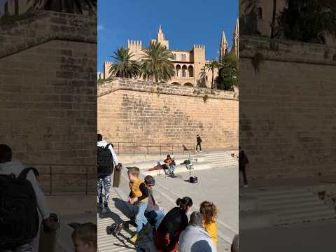 The Cathedral of Santa Maria of Palma de Mallorca