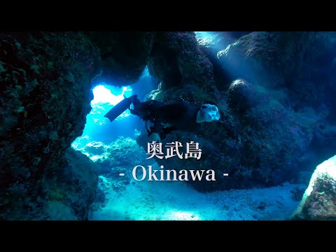 Snorkeling and Freediving at Ojima Island in Okinawa Japan | シュノーケリング＠沖縄奥武島