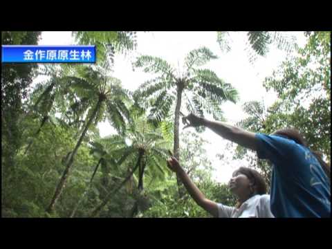 奄美群島ゆったりのんびり船の旅