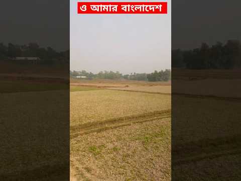 প্রিয় বাংলা আমার #ytshorts #nature #shorts #shortsfeed #viralvideo #bangladesh #village