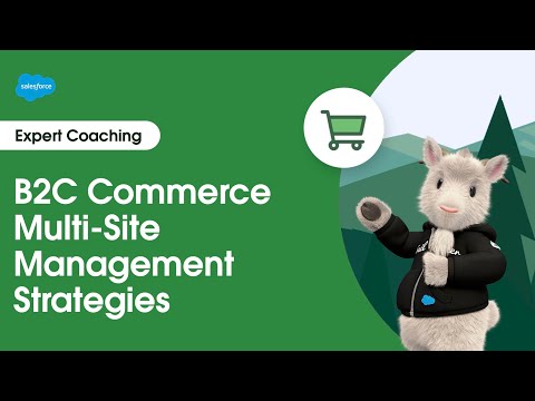 B2C Commerce: Multi-Site Management Strategies | Expert Coaching