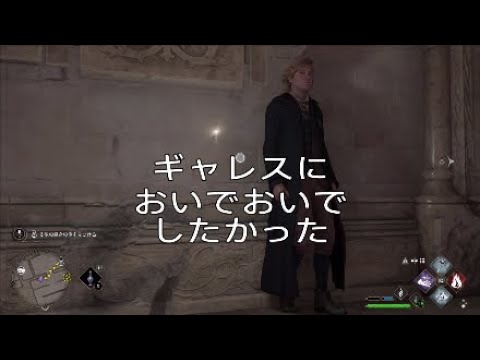 ギャレスクエストで会話ループしてるだけ 【ホグワーツレガシー】