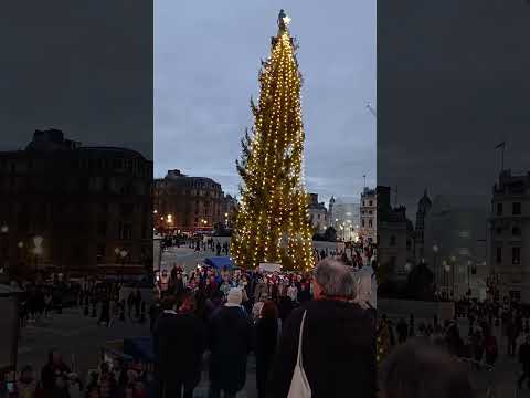 Worlds worst Christmas tree in the world at trafalgar Square #worst #christmas