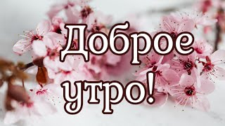 Доброе утро, открытка 🌹