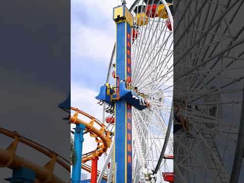 Have fun..#amusementpark #rollercoaster #shorts