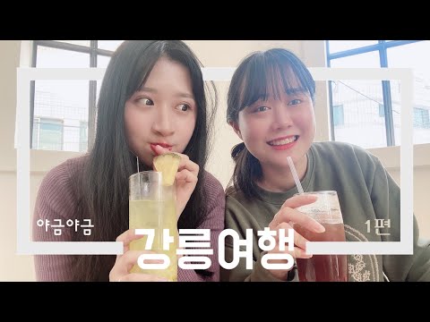 1박 2일 강릉 여행 브이로그 | 초보운전 국내여행 시오야끼 도깨비촬영지 [트래블메이커]