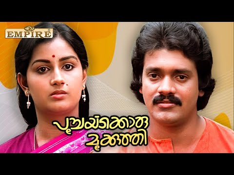 തന്റെ തലയ്ക്കകത്ത് എന്താ ചെളിയാണോ...? | Poochakkoru Mookkuthi Movie |  Shankar | Menaka