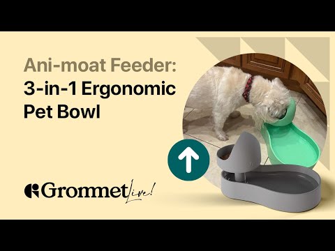 Elevated Pet Food and Water Bowl Comfortable Dining for Pets | Grommet Live