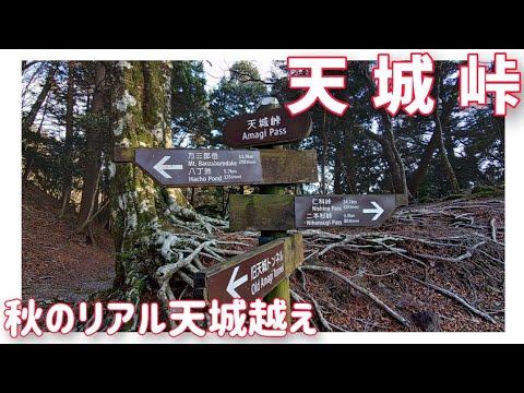 【リアル峠】天城峠　秋のリアル天城越え