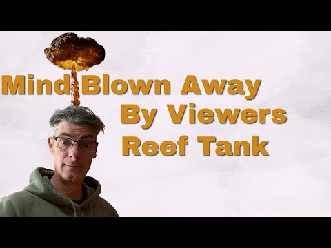 Hershey Pa - Mike Andrews Reef Tank Visit and New WaterBox Aquarium Reef Tank Build 11-7-2021