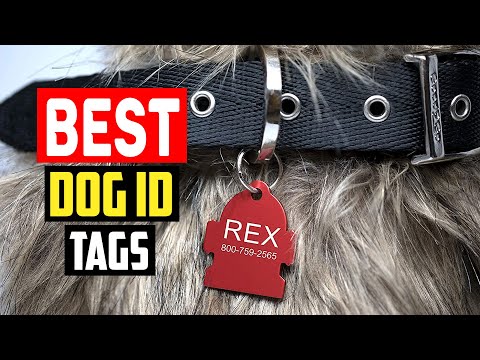 ✅ Top 5 Best Dog ID Tags in 2023