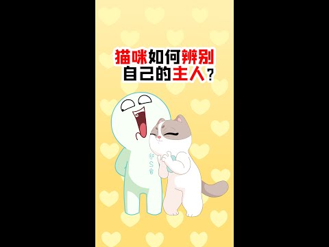 【宠物科普】猫如何辨认主人？